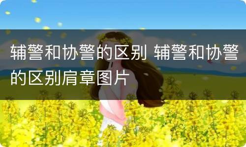 辅警和协警的区别 辅警和协警的区别肩章图片