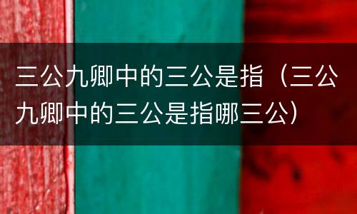 三公九卿中的三公是指（三公九卿中的三公是指哪三公）
