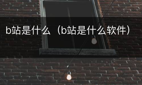 b站是什么（b站是什么软件）