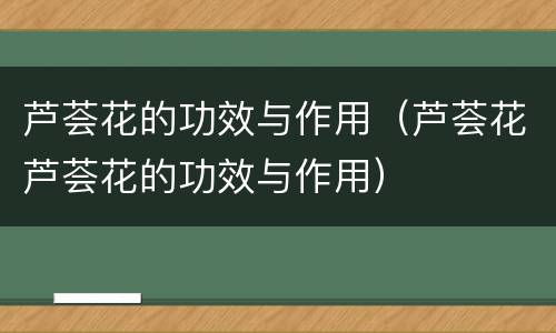 芦荟花的功效与作用（芦荟花芦荟花的功效与作用）
