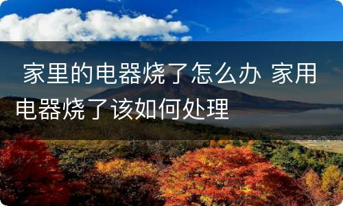  家里的电器烧了怎么办 家用电器烧了该如何处理