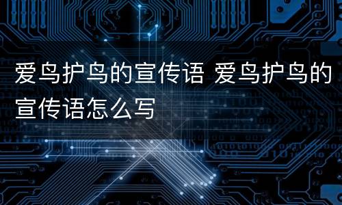 爱鸟护鸟的宣传语 爱鸟护鸟的宣传语怎么写
