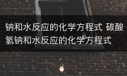 钠和水反应的化学方程式 碳酸氢钠和水反应的化学方程式