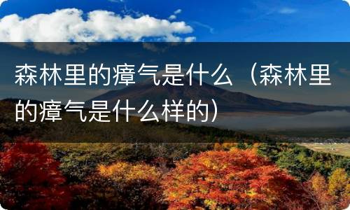 森林里的瘴气是什么（森林里的瘴气是什么样的）