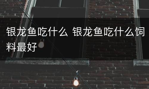 银龙鱼吃什么 银龙鱼吃什么饲料最好