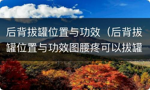 后背拔罐位置与功效（后背拔罐位置与功效图腰疼可以拔罐）