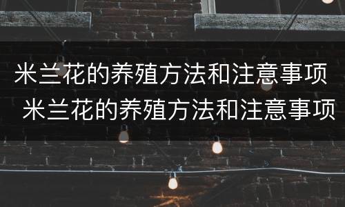 米兰花的养殖方法和注意事项 米兰花的养殖方法和注意事项 盆栽适合晒太阳不