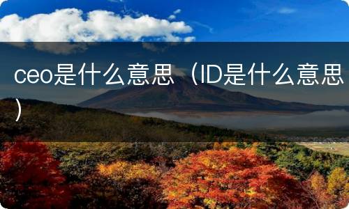 ceo是什么意思（ID是什么意思）