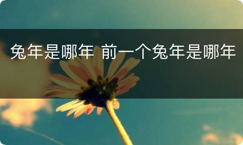 兔年是哪年 前一个兔年是哪年