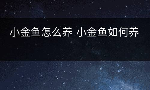  小金鱼怎么养 小金鱼如何养