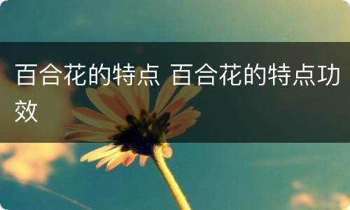 百合花的特点 百合花的特点功效