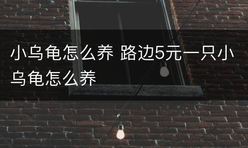 小乌龟怎么养 路边5元一只小乌龟怎么养