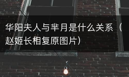 华阳夫人与芈月是什么关系（赵姬长相复原图片）