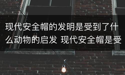 现代安全帽的发明是受到了什么动物的启发 现代安全帽是受到什么动物的启发