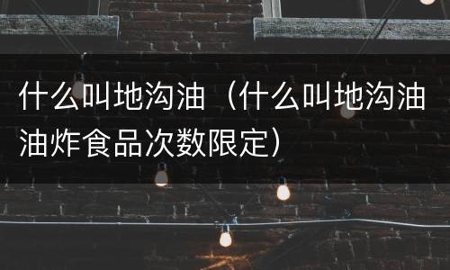 什么叫地沟油（什么叫地沟油油炸食品次数限定）