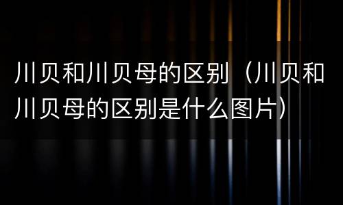川贝和川贝母的区别（川贝和川贝母的区别是什么图片）