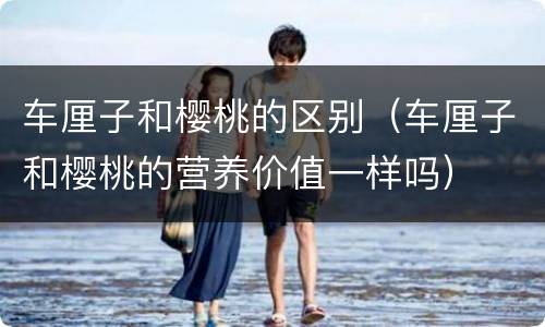 车厘子和樱桃的区别（车厘子和樱桃的营养价值一样吗）