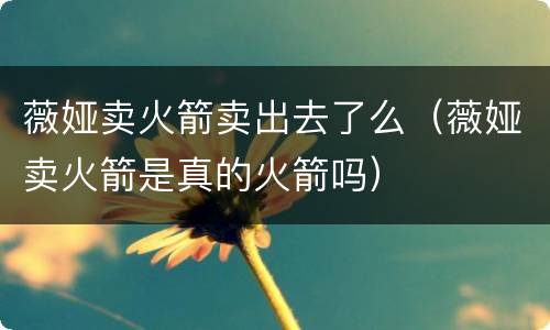 薇娅卖火箭卖出去了么（薇娅卖火箭是真的火箭吗）