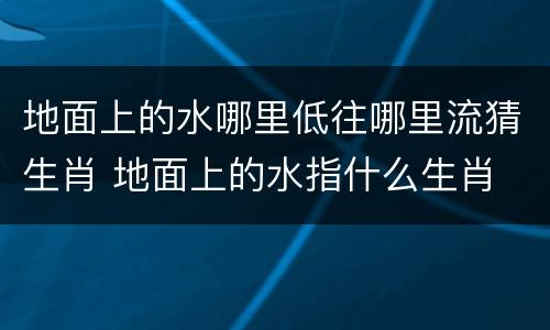 地面上的水哪里低往哪里流猜生肖 地面上的水指什么生肖