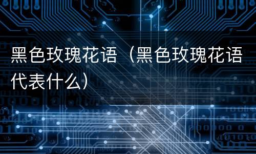 黑色玫瑰花语（黑色玫瑰花语代表什么）