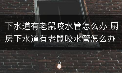 下水道有老鼠咬水管怎么办 厨房下水道有老鼠咬水管怎么办