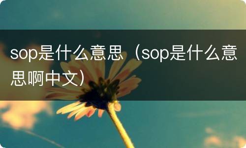 sop是什么意思（sop是什么意思啊中文）