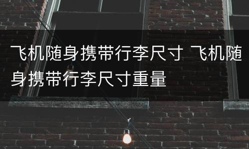 飞机随身携带行李尺寸 飞机随身携带行李尺寸重量