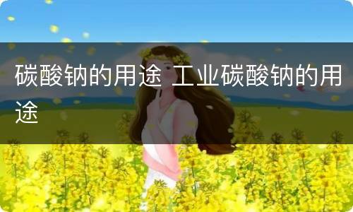 碳酸钠的用途 工业碳酸钠的用途