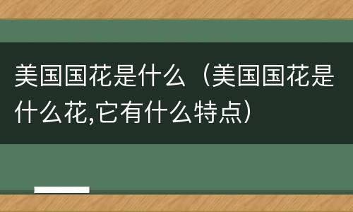美国国花是什么（美国国花是什么花,它有什么特点）