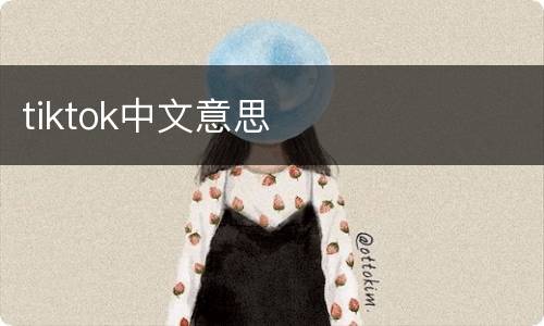 tiktok中文意思