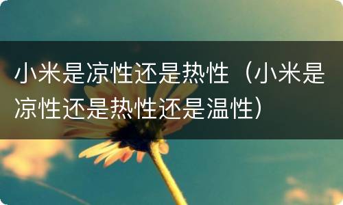 小米是凉性还是热性（小米是凉性还是热性还是温性）