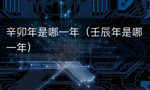 辛卯年是哪一年（壬辰年是哪一年）