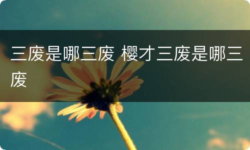 三废是哪三废 樱才三废是哪三废