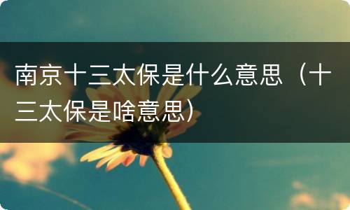 南京十三太保是什么意思（十三太保是啥意思）