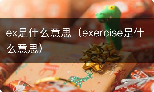 ex是什么意思（exercise是什么意思）