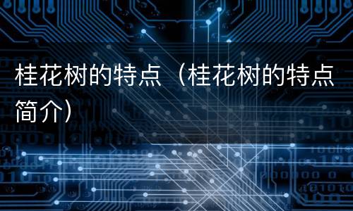 桂花树的特点（桂花树的特点简介）