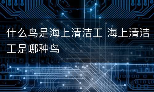什么鸟是海上清洁工 海上清洁工是哪种鸟