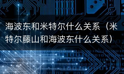 海波东和米特尔什么关系（米特尔藤山和海波东什么关系）