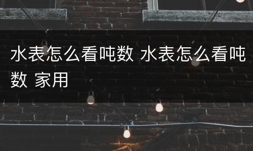 水表怎么看吨数 水表怎么看吨数 家用