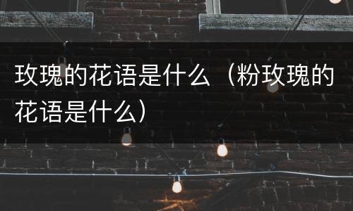 玫瑰的花语是什么（粉玫瑰的花语是什么）