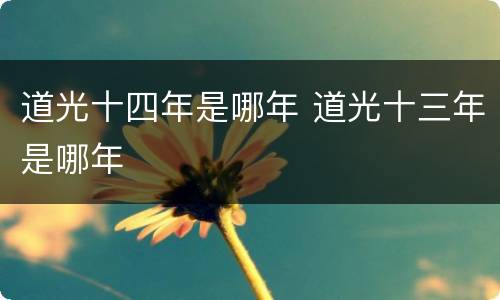 道光十四年是哪年 道光十三年是哪年