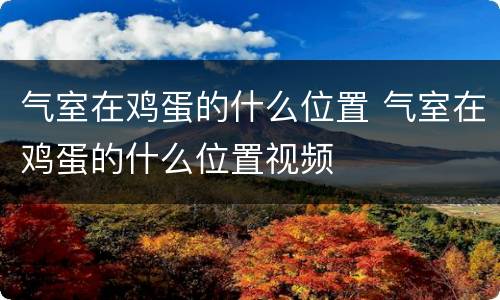 气室在鸡蛋的什么位置 气室在鸡蛋的什么位置视频