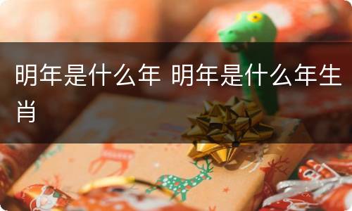 明年是什么年 明年是什么年生肖