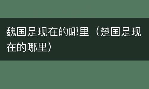 魏国是现在的哪里（楚国是现在的哪里）