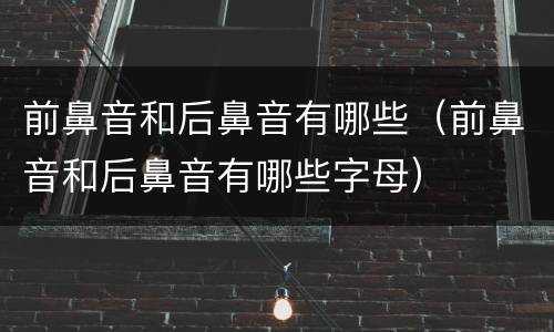 前鼻音和后鼻音有哪些（前鼻音和后鼻音有哪些字母）