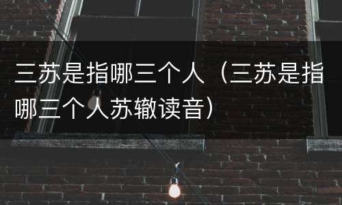 三苏是指哪三个人（三苏是指哪三个人苏辙读音）