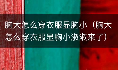 胸大怎么穿衣服显胸小（胸大怎么穿衣服显胸小淑淑来了）