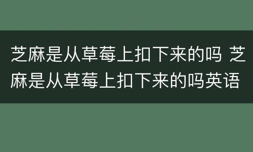 芝麻是从草莓上扣下来的吗 芝麻是从草莓上扣下来的吗英语