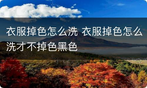 衣服掉色怎么洗 衣服掉色怎么洗才不掉色黑色