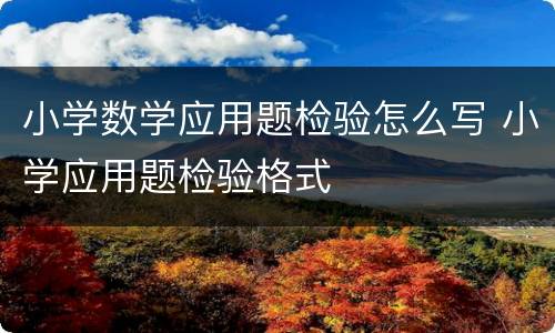 小学数学应用题检验怎么写 小学应用题检验格式